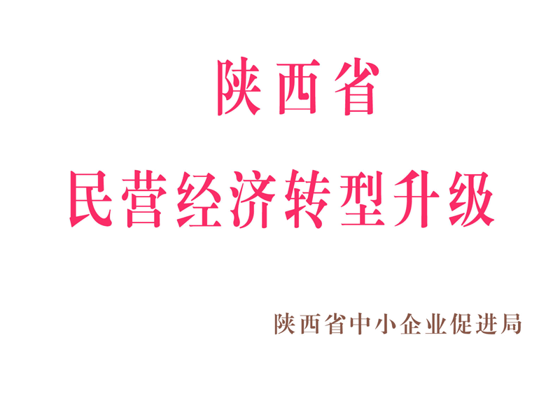 陜西省民營經濟轉型升級